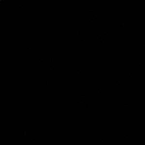 Meet your Posher, Junior